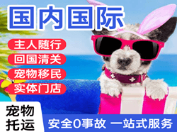 天吉泰机场托运国际宠物托运 【国